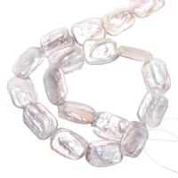 Perles nacres baroques de culture d'eau douce , perle d'eau douce cultivée, rectangle, naturel, blanc, 14-17mm Environ 0.8mm Environ 15 pouce, Vendu par brin