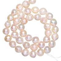 Potato Cultured Freshwater Pearl Beads, natural, white, 8-10mm Approx 0.8mm Approx 15 Inch 