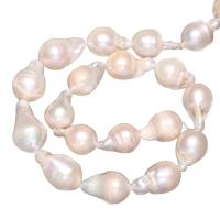 perles nucléées cultivées d'eau douce , perle d'eau douce cultivée, larme, naturel, avec troll, blanc, 11-13mm Environ 0.8mm Environ 15 pouce, Vendu par brin