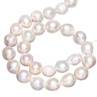 Potato Cultured Freshwater Pearl Beads, natural, white, 13-15mm Approx 0.8mm Approx 15 Inch 