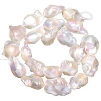 Perles nacres baroques de culture d'eau douce , perle d'eau douce cultivée, naturel, blanc, 14-20mm Environ 0.8mm Environ 15 pouce, Vendu par brin