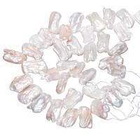 Perles de nacre de culture d'eau douce Biwa, perle d'eau douce cultivée, Pipa, naturel, blanc, 11-18mm Environ 0.8mm Environ 15 pouce, Vendu par brin