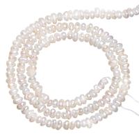 Perlas cultivadas de agua dulce Abalorio, Redondo aplanado, natural, Blanco, 2.8-3.2mm, agujero:aproximado 0.8mm, longitud:aproximado 15 Inch, Vendido por Sarta