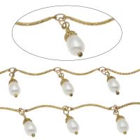 Brass Chain, with ABS Plastic Pearl, gold color plated, white, 14*5.5mm,19*2*1mm,4*3*0.5mm 