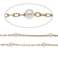 Brass Chain, with ABS Plastic Pearl, gold color plated, white, 3*2.5mm,2.5*1.5*0.5mm 