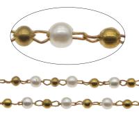 Brass Chain, with ABS Plastic Pearl, Round, gold color plated, white, 2.5mm,2mm 