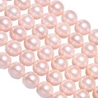 South Sea Shell Beads, Round, pink, 8mm Approx 1mm, Approx 