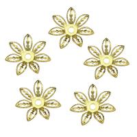Eisen Perlenkappen, Blume, goldfarben plattiert, hohl, 16x2mm, Bohrung:ca. 2mm, 500PCs/Tasche, verkauft von Tasche