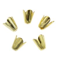 Eisen Perlenkappen, goldfarben plattiert, 5x6mm, Bohrung:ca. 1mm, 1000PCs/Tasche, verkauft von Tasche