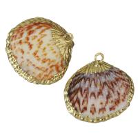 Brass Shell Pendants, with Shell, gold color plated, fashion jewelry, 23.5-25x21-23x6-6.5mm Approx 2mm 