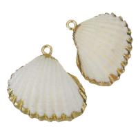 Brass Shell Pendants, with Shell, gold color plated, fashion jewelry, 25-27x24- Approx 2mm 