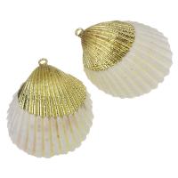 Brass Shell Pendants, with Shell, gold color plated, fashion jewelry, 31x36- Approx 2mm 
