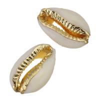 Composants de bijoux en laiton, avec coquille, coquille, Placage de couleur d'or, bijoux de mode, 14- Vendu par PC