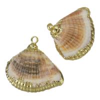 Brass Shell Pendants, with Shell, gold color plated, fashion jewelry, 18x15-17x6-7.5mm Approx 1.5mm 