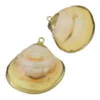 Pendentifs de coquille en laiton, avec coquille, Placage de couleur d'or, bijoux de mode, 31-34x29-34x10-12mm Environ 2mm, Vendu par PC