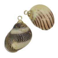 Brass Shell Pendants, with Shell, gold color plated, fashion jewelry, 12-15x17-18x11-13mm Approx 1.5mm 
