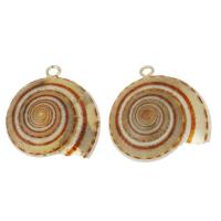 Brass Shell Pendants, with Shell, gold color plated, fashion jewelry, 22-23x22- Approx 2mm 