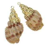 Brass Shell Pendants, with Shell, gold color plated, fashion jewelry, 15-16x28-30x13-14mm Approx 1.5mm 