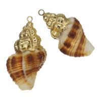 Brass Shell Pendants, with Shell, gold color plated, fashion jewelry, 15-17x27-30x13-14mm Approx 1.5mm 