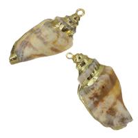 Brass Shell Pendants, with Shell, gold color plated, fashion jewelry, 16- 13-14mm Approx 1.5mm 