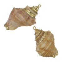 Brass Shell Pendants, with Shell, gold color plated, fashion jewelry, 17-20x27-31x14-15mm Approx 1.5mm 
