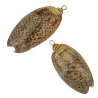 Brass Shell Pendants, with Shell, gold color plated, fashion jewelry, 15-18x32-36x12-13mm Approx 1.5mm 