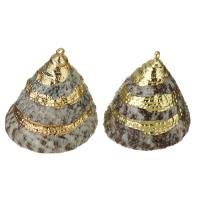Brass Shell Pendants, with Shell, gold color plated, fashion jewelry, 26-28x26-30x26-28mm Approx 1.5mm 
