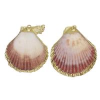 Brass Shell Pendants, with Shell, gold color plated, fashion jewelry, 32-34x35- Approx 2mm 