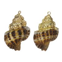 Brass Shell Pendants, with Shell, gold color plated, fashion jewelry, 18-19x28.5- Approx 1.5mm 