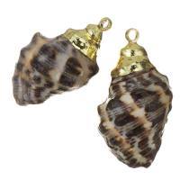 Brass Shell Pendants, with Shell, gold color plated, fashion jewelry, 14-15x23.5- Approx 1.5mm 