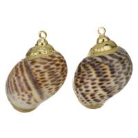 Brass Shell Pendants, with Shell, gold color plated, fashion jewelry, 17-18x22- Approx 1.5mm 