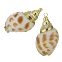 Brass Shell Pendants, with Shell, gold color plated, fashion jewelry, 14- Approx 1.5mm 