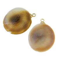 Brass Shell Pendants, with Shell, gold color plated, fashion jewelry 6-7mm Approx 1.5mm 