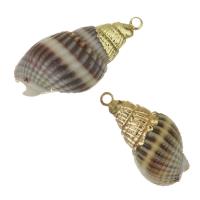 Brass Shell Pendants, with Shell, gold color plated, fashion jewelry, 11-13x20-25x10-12mm Approx 1.5mm 