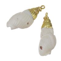 Brass Shell Pendants, with Shell, gold color plated, fashion jewelry, 11x22- Approx 1.5mm 