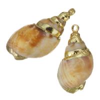 Brass Shell Pendants, with Shell, gold color plated, fashion jewelry, 11-13x20-23x9-11mm Approx 1.5mm 