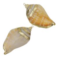 Brass Shell Pendants, with Shell, gold color plated, fashion jewelry, 25-26x47- Approx 1.5mm 