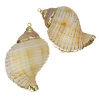 Brass Shell Pendants, with Shell, gold color plated, fashion jewelry, 28-31x42-44x22-24mm Approx 1.5mm 