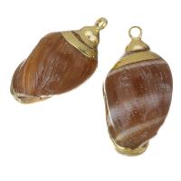 Brass Shell Pendants, with Shell, gold color plated, fashion jewelry, 13-14x23-24x11-12mm Approx 1.5mm 