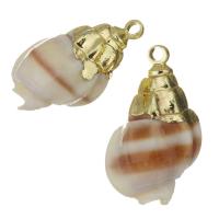 Brass Shell Pendants, with Shell, gold color plated, fashion jewelry, 10-11x17-18x8.5-9mm Approx 1.5mm 