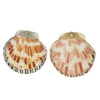 Brass Shell Pendants, with Shell, plated, fashion jewelry 43-45x44-46x4-7mm Approx 2mm 