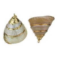 Pendentifs de coquille en laiton, avec coquille, Placage de couleur d'or, bijoux de mode, 25-27x24- Environ 1.5mm, Vendu par PC