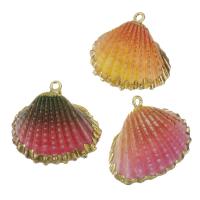 Brass Shell Pendants, with Shell, gold color plated, fashion jewelry & dyed 26-30x25-26x9-10mm Approx 2mm 