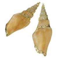 Brass Shell Pendants, with Shell, gold color plated, fashion jewelry, 27-28x66-72x19-20mm Approx 1.5mm 