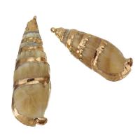 Pendentifs de coquille en laiton, avec coquille, Placage de couleur d'or, bijoux de mode, 13-16x37-48x13-15mm Environ 1.5mm, Vendu par PC