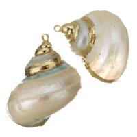 Brass Shell Pendants, with Shell, gold color plated, fashion jewelry, 24-25x28-30x19-22mm Approx 1.5mm 