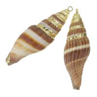 Brass Shell Pendants, with Shell, gold color plated, fashion jewelry, 12-13x37- Approx 1.5mm 