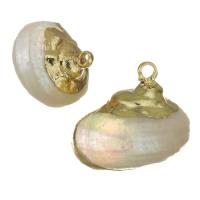 Brass Shell Pendants, with Shell, gold color plated, fashion jewelry, 13-16x13-15x11-12mm Approx 1.5mm 
