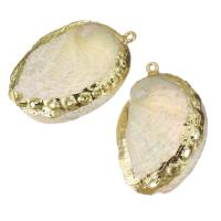 Brass Shell Pendants, with Shell, gold color plated, fashion jewelry, 26-29x39-41x7-8mm Approx 2mm 