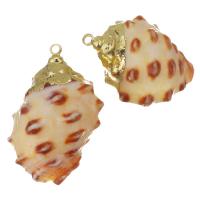 Brass Shell Pendants, with Shell, gold color plated, fashion jewelry, 18-20x24- Approx 1.5mm 